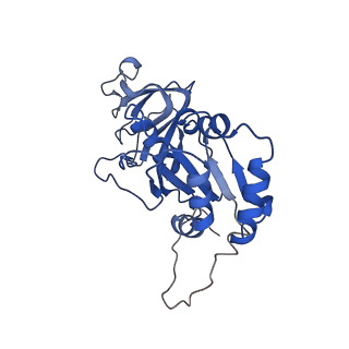 21955_6wxe_n_v1-2
Cryo-EM reconstruction of VP5*/VP8* assembly from rhesus rotavirus particles - Upright conformation