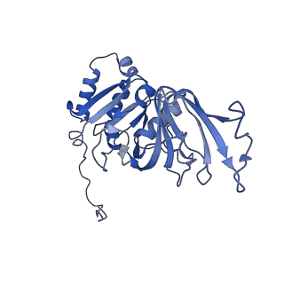 21955_6wxe_p_v1-2
Cryo-EM reconstruction of VP5*/VP8* assembly from rhesus rotavirus particles - Upright conformation