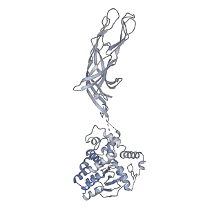 21956_6wxf_1_v1-2
Cryo-EM reconstruction of VP5*/VP8* assembly from rhesus rotavirus particles - Intermediate conformation