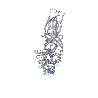 21956_6wxf_2_v1-2
Cryo-EM reconstruction of VP5*/VP8* assembly from rhesus rotavirus particles - Intermediate conformation