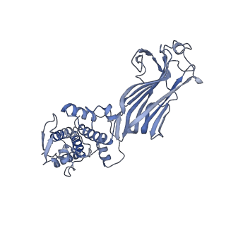 21956_6wxf_A_v1-2
Cryo-EM reconstruction of VP5*/VP8* assembly from rhesus rotavirus particles - Intermediate conformation