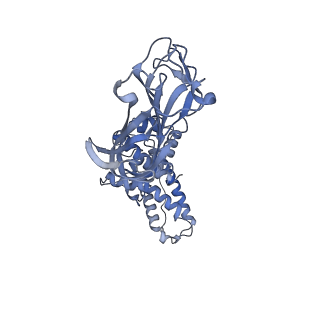 21956_6wxf_G_v1-2
Cryo-EM reconstruction of VP5*/VP8* assembly from rhesus rotavirus particles - Intermediate conformation