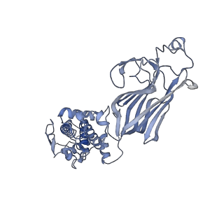 21956_6wxf_H_v1-2
Cryo-EM reconstruction of VP5*/VP8* assembly from rhesus rotavirus particles - Intermediate conformation