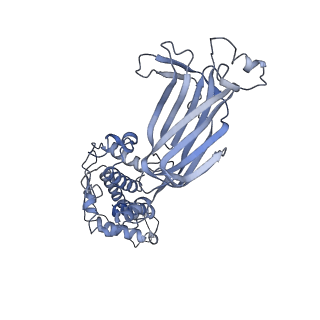 21956_6wxf_P_v1-2
Cryo-EM reconstruction of VP5*/VP8* assembly from rhesus rotavirus particles - Intermediate conformation