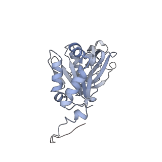21956_6wxf_q_v1-2
Cryo-EM reconstruction of VP5*/VP8* assembly from rhesus rotavirus particles - Intermediate conformation