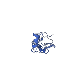 21961_6wxl_I_v1-1
Cryo-EM structure of the VRC315 clinical trial, vaccine-elicited, human antibody 1D12 in complex with an H7 SH13 HA trimer
