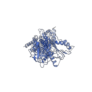 21962_6wxr_A_v1-1
CryoEM structure of mouse DUOX1-DUOXA1 complex in the absence of NADPH