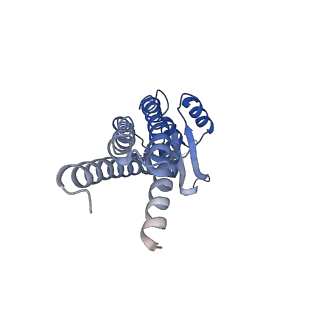 21962_6wxr_B_v1-1
CryoEM structure of mouse DUOX1-DUOXA1 complex in the absence of NADPH