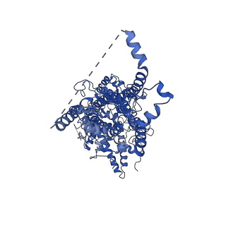 21963_6wxu_A_v1-1
CryoEM structure of mouse DUOX1-DUOXA1 complex in the dimer-of-dimer state