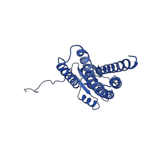 21963_6wxu_D_v1-1
CryoEM structure of mouse DUOX1-DUOXA1 complex in the dimer-of-dimer state