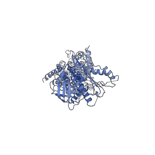 21964_6wxv_A_v1-1
CryoEM structure of mouse DUOX1-DUOXA1 complex in the presence of NADPH