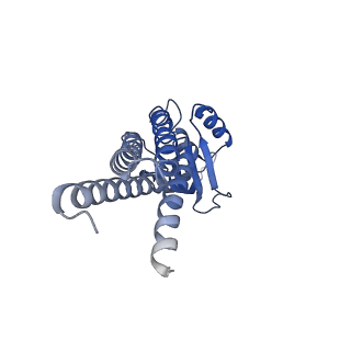 21964_6wxv_B_v1-1
CryoEM structure of mouse DUOX1-DUOXA1 complex in the presence of NADPH