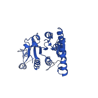 32875_7wx3_C_v1-0
GK domain of Drosophila P5CS filament with glutamate, ATP, and NADPH