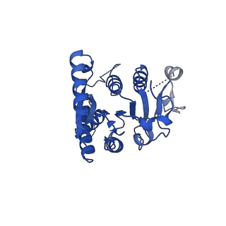 32875_7wx3_D_v1-0
GK domain of Drosophila P5CS filament with glutamate, ATP, and NADPH