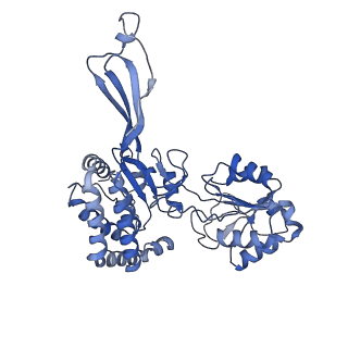 32877_7wxf_A_v1-1
GPR domain of Drosophila P5CS filament with glutamate
