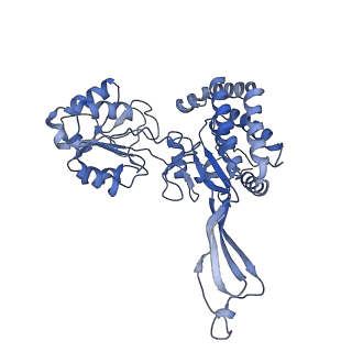 32877_7wxf_B_v1-1
GPR domain of Drosophila P5CS filament with glutamate