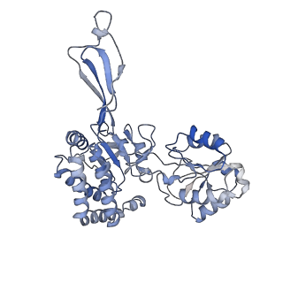 32880_7wxi_A_v1-1
GPR domain of Drosophila P5CS filament with glutamate and ATPgammaS
