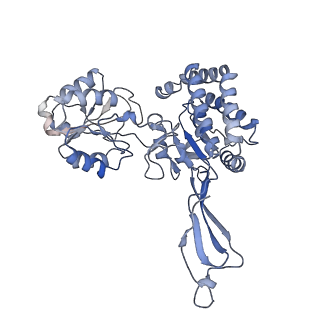 32880_7wxi_B_v1-1
GPR domain of Drosophila P5CS filament with glutamate and ATPgammaS