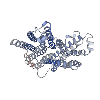 37898_8wx2_A_v1-0
Cryo-EM structure of human SLC15A3 (outward-facing partially occluded)