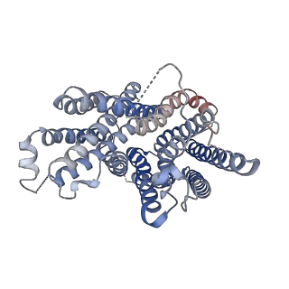37898_8wx2_B_v1-0
Cryo-EM structure of human SLC15A3 (outward-facing partially occluded)