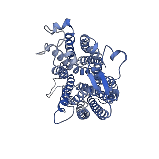 37899_8wx3_A_v1-0
Cryo-EM structure of human SLC15A4 (outward-facing open)