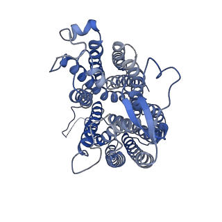 37900_8wx4_A_v1-0
Cryo-EM structure of human SLC15A4 in complex with Lys-Leu (outward-facing open)