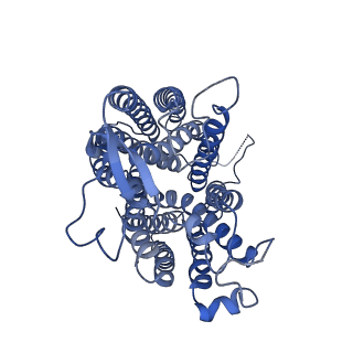 37900_8wx4_B_v1-0
Cryo-EM structure of human SLC15A4 in complex with Lys-Leu (outward-facing open)