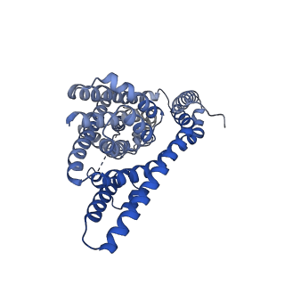 21968_6wyl_A_v1-2
Cryo-EM structure of GltPh L152C-G351C mutant in the intermediate outward-facing state.