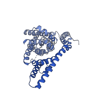 21968_6wyl_A_v1-3
Cryo-EM structure of GltPh L152C-G351C mutant in the intermediate outward-facing state.