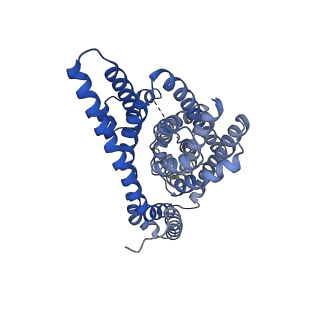 21968_6wyl_B_v1-2
Cryo-EM structure of GltPh L152C-G351C mutant in the intermediate outward-facing state.