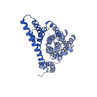 21968_6wyl_B_v1-3
Cryo-EM structure of GltPh L152C-G351C mutant in the intermediate outward-facing state.