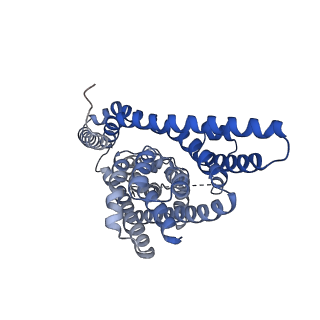 21968_6wyl_C_v1-2
Cryo-EM structure of GltPh L152C-G351C mutant in the intermediate outward-facing state.