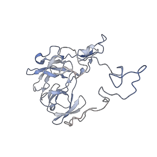21969_6wyv_K_v1-2
E. coli 50S ribosome bound to compounds 47 and VS1