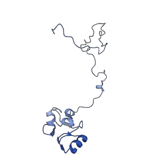 21969_6wyv_L_v1-2
E. coli 50S ribosome bound to compounds 47 and VS1