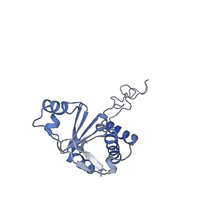 21969_6wyv_M_v1-2
E. coli 50S ribosome bound to compounds 47 and VS1