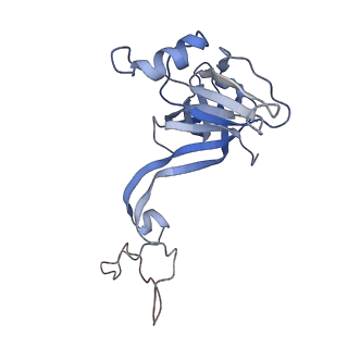 21969_6wyv_N_v1-2
E. coli 50S ribosome bound to compounds 47 and VS1