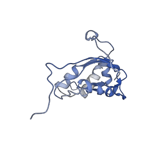 21969_6wyv_O_v1-2
E. coli 50S ribosome bound to compounds 47 and VS1