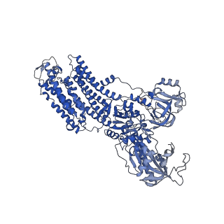 32894_7wyu_A_v1-0
Cryo-EM structure of Na+,K+-ATPase in the E2P state formed by ATP