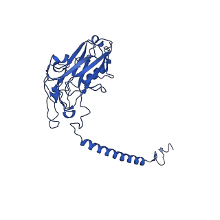 32894_7wyu_B_v1-0
Cryo-EM structure of Na+,K+-ATPase in the E2P state formed by ATP