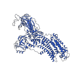 32894_7wyu_C_v1-0
Cryo-EM structure of Na+,K+-ATPase in the E2P state formed by ATP