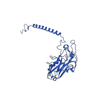 32894_7wyu_D_v1-0
Cryo-EM structure of Na+,K+-ATPase in the E2P state formed by ATP