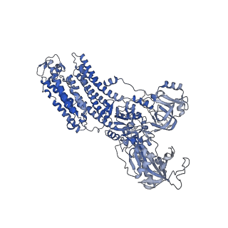 32895_7wyv_A_v1-0
Cryo-EM structure of Na+,K+-ATPase in the E2P state formed by ATP in the presence of 40 mM Mg2+