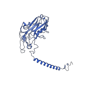 32895_7wyv_B_v1-0
Cryo-EM structure of Na+,K+-ATPase in the E2P state formed by ATP in the presence of 40 mM Mg2+