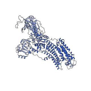 32895_7wyv_C_v1-0
Cryo-EM structure of Na+,K+-ATPase in the E2P state formed by ATP in the presence of 40 mM Mg2+