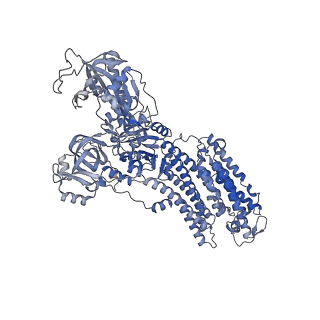 32896_7wyw_C_v1-0
Cryo-EM structure of Na+,K+-ATPase in the E2P state formed by inorganic phosphate