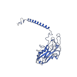 32896_7wyw_D_v1-0
Cryo-EM structure of Na+,K+-ATPase in the E2P state formed by inorganic phosphate
