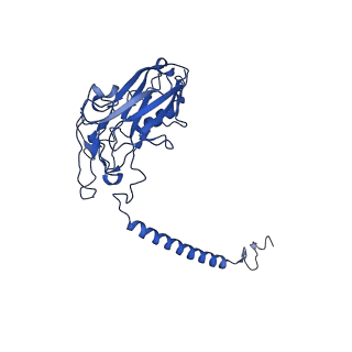 32897_7wyx_B_v1-0
Cryo-EM structure of Na+,K+-ATPase in the E2P state formed by ATP with istaroxime