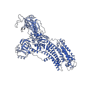 32897_7wyx_C_v1-0
Cryo-EM structure of Na+,K+-ATPase in the E2P state formed by ATP with istaroxime