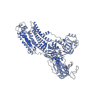 32898_7wyy_A_v1-0
Cryo-EM structure of Na+,K+-ATPase in the E2P state formed by inorganic phosphate with istaroxime