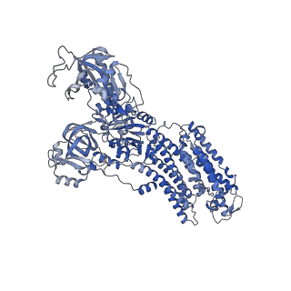 32898_7wyy_C_v1-0
Cryo-EM structure of Na+,K+-ATPase in the E2P state formed by inorganic phosphate with istaroxime